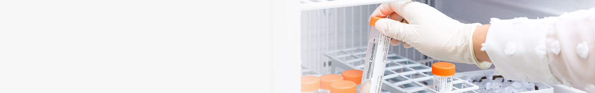 Ocular Tissue Engineering